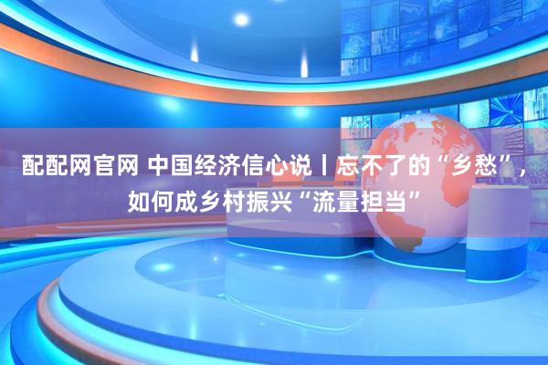 配配网官网 中国经济信心说丨忘不了的“乡愁”，如何成乡村振兴“流量担当”