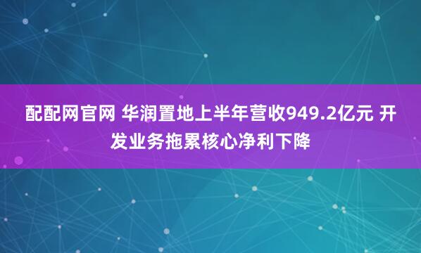 配配网官网 华润置地上半年营收949.2亿元 开发业务拖累核心净利下降