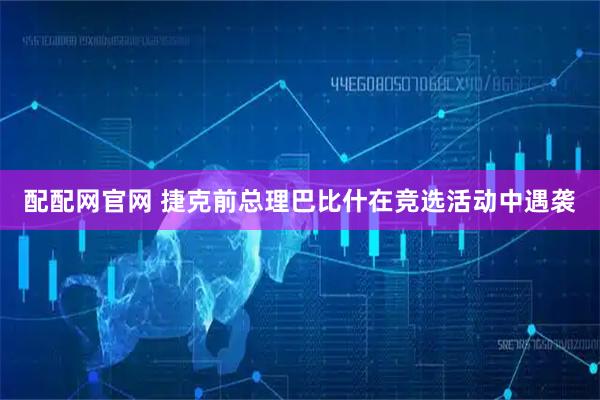 配配网官网 捷克前总理巴比什在竞选活动中遇袭