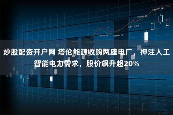 炒股配资开户网 塔伦能源收购两座电厂，押注人工智能电力需求，股价飙升超20%
