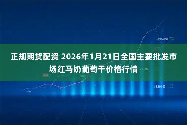 正规期货配资 2026年1月21日全国主要批发市场红马奶葡萄干价格行情